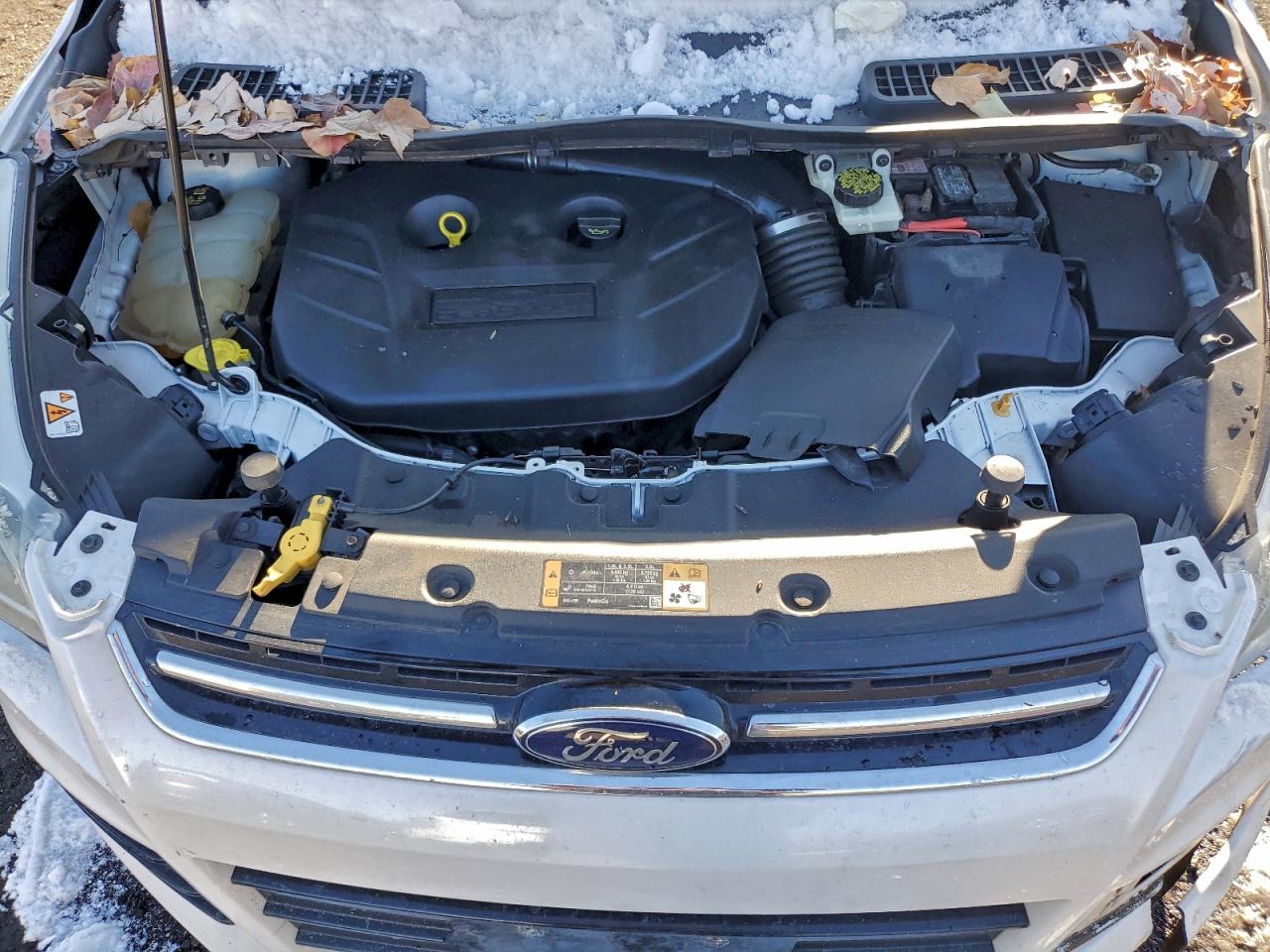 2014 FORD ESCAPE TITANIUM photo 12
