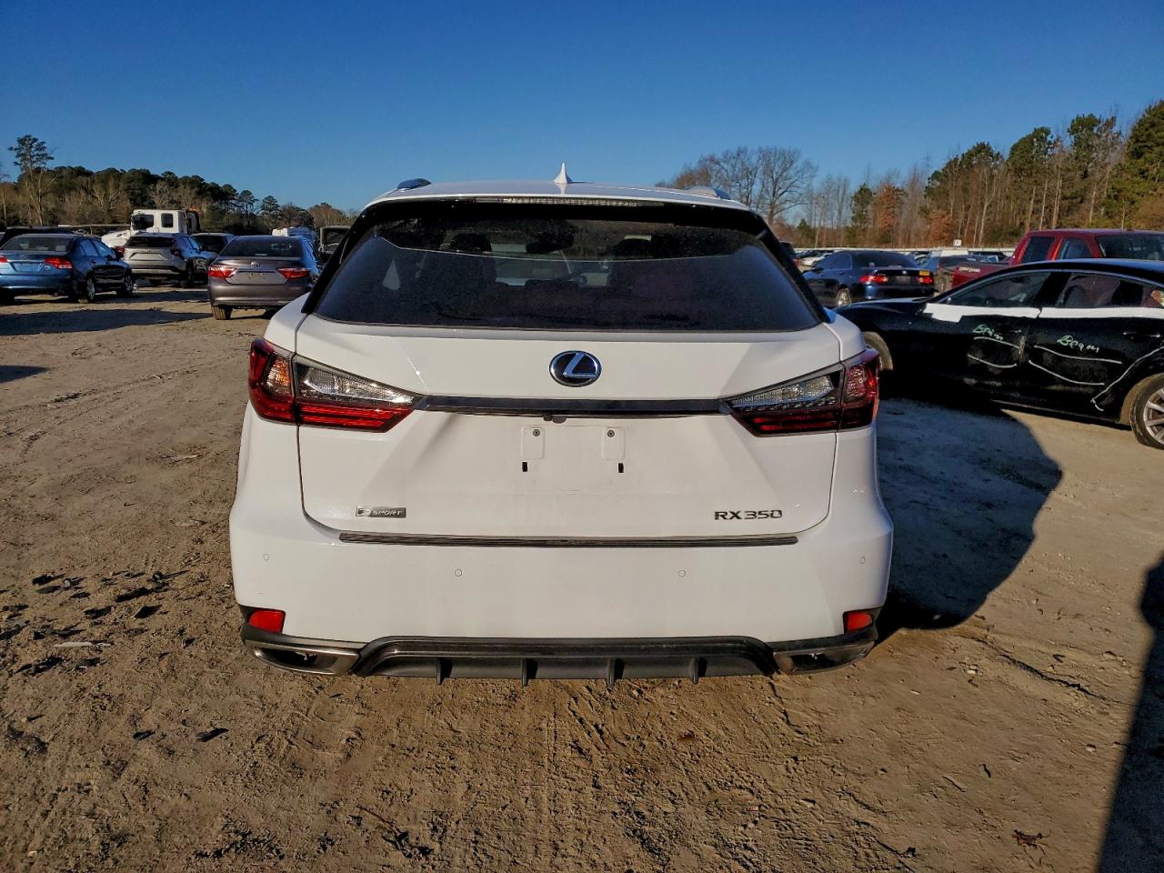 2021 LEXUS RX 350 F SPORT photo 6