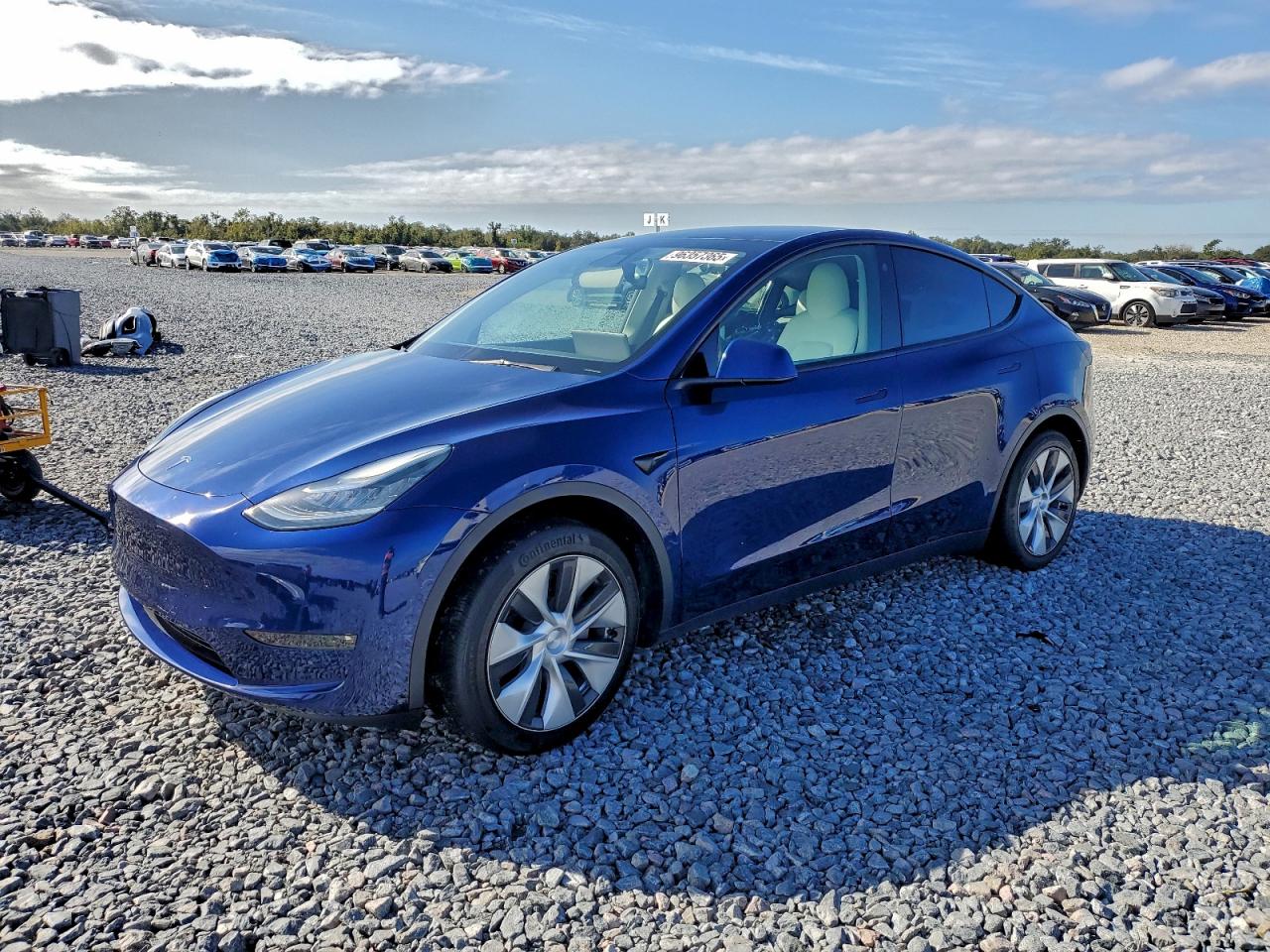 2021 TESLA MODEL Y
