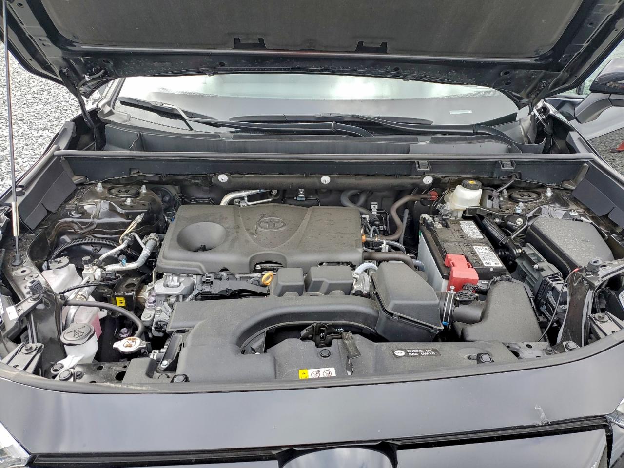 2024 TOYOTA RAV4 XLE photo 12