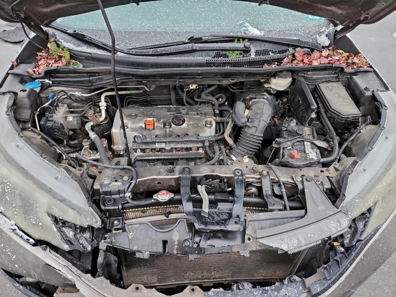 2014 HONDA CR-V EXL photo 12