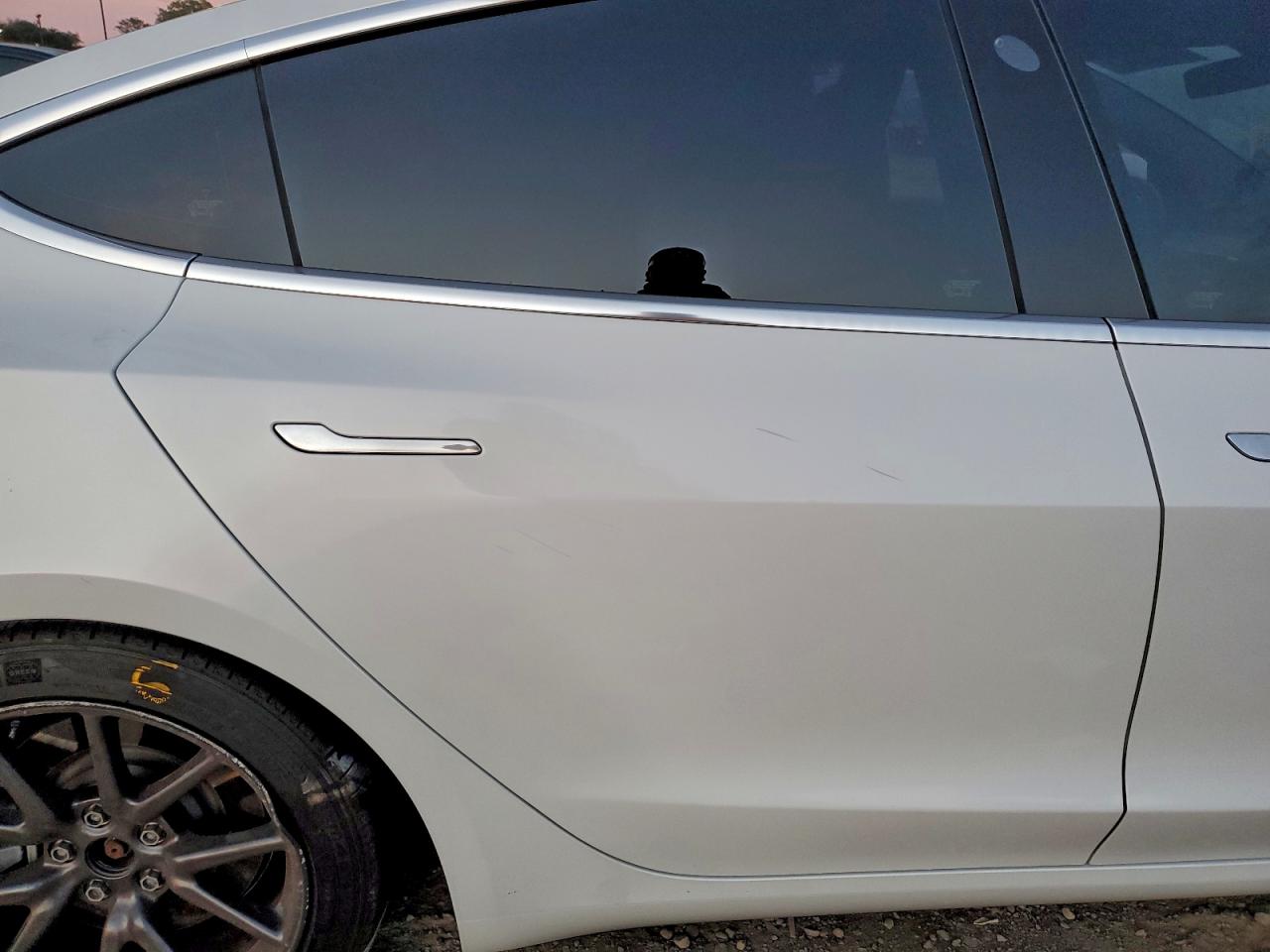 2019 TESLA MODEL 3 photo 10
