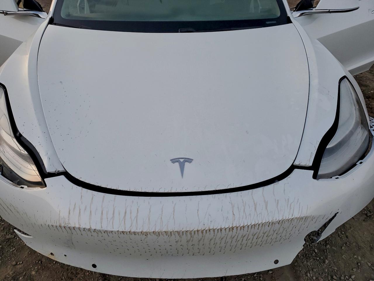 2019 TESLA MODEL 3 photo 11