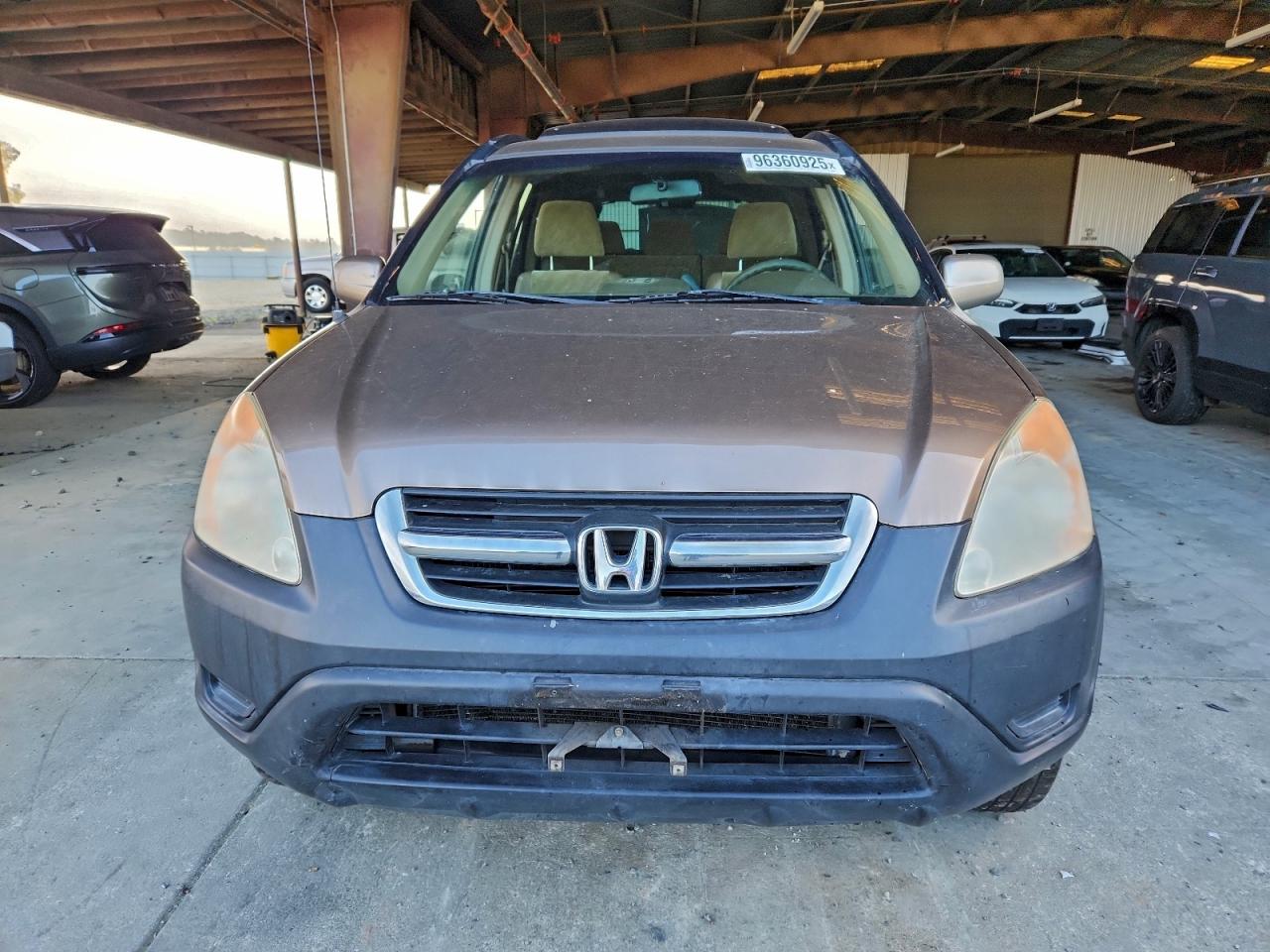 2003 HONDA CR-V EX photo 5