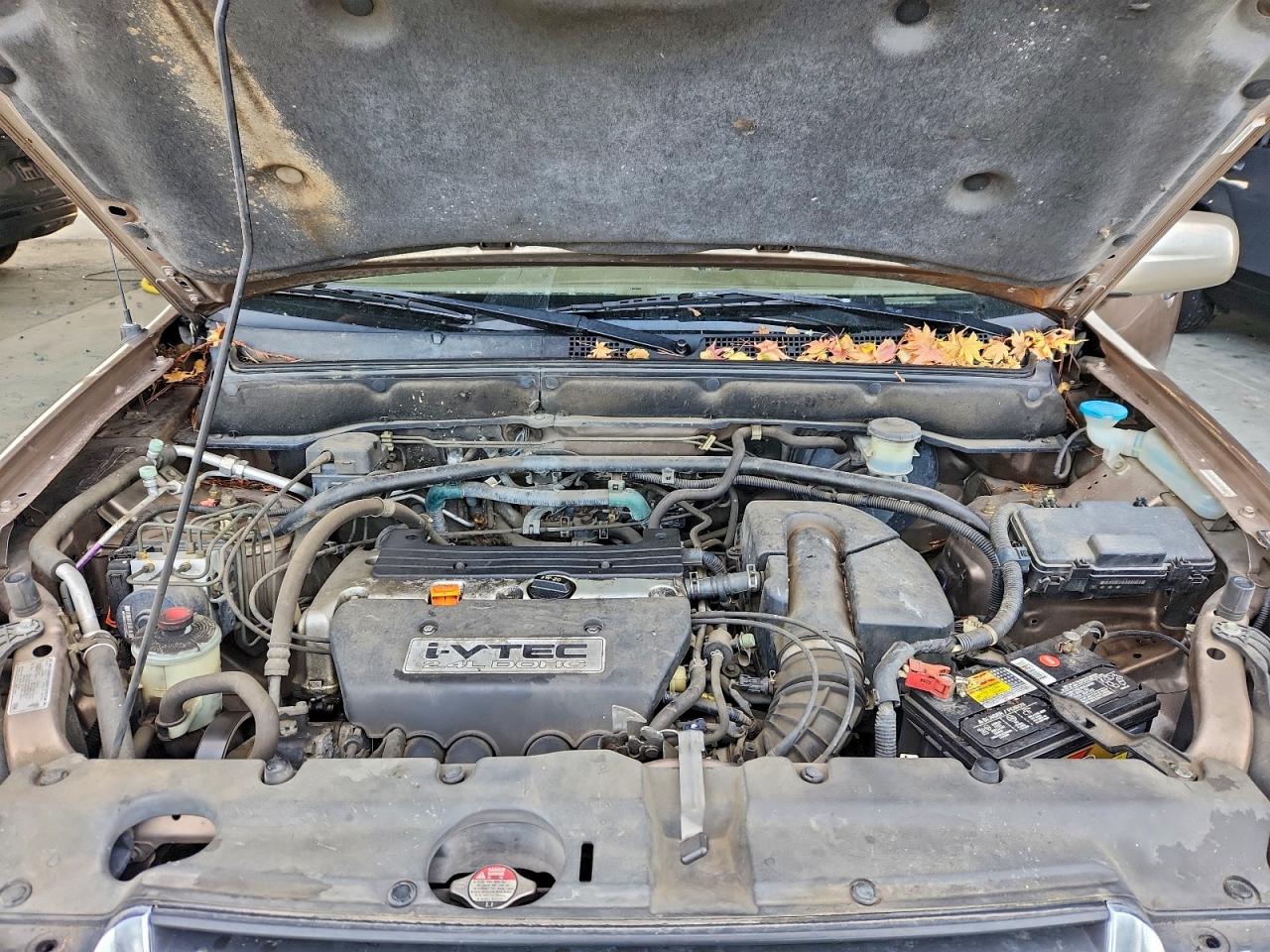 2003 HONDA CR-V EX photo 12