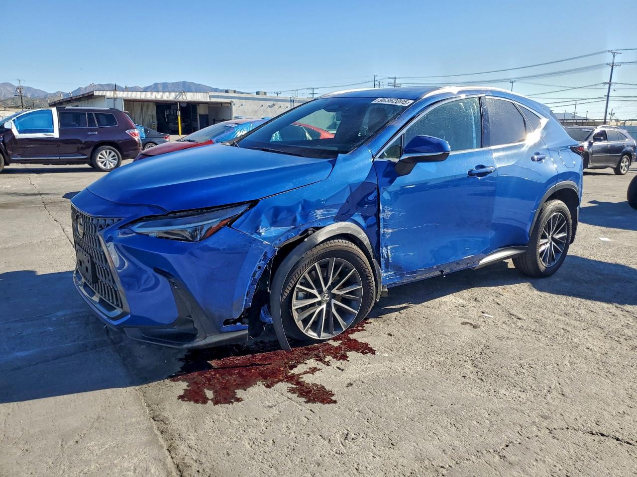 2024 LEXUS NX