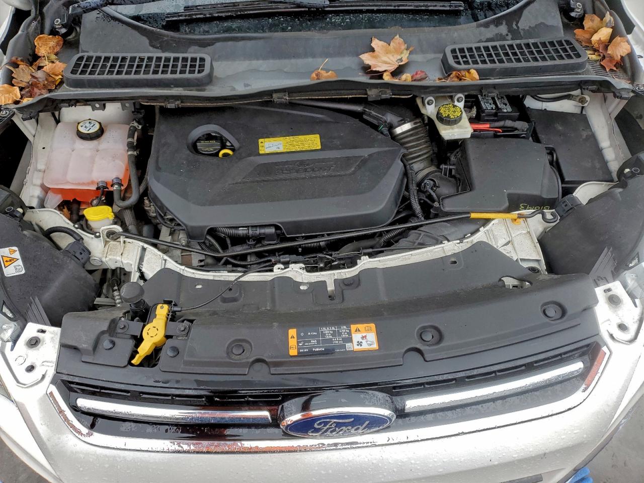 2014 FORD ESCAPE TITANIUM photo 12