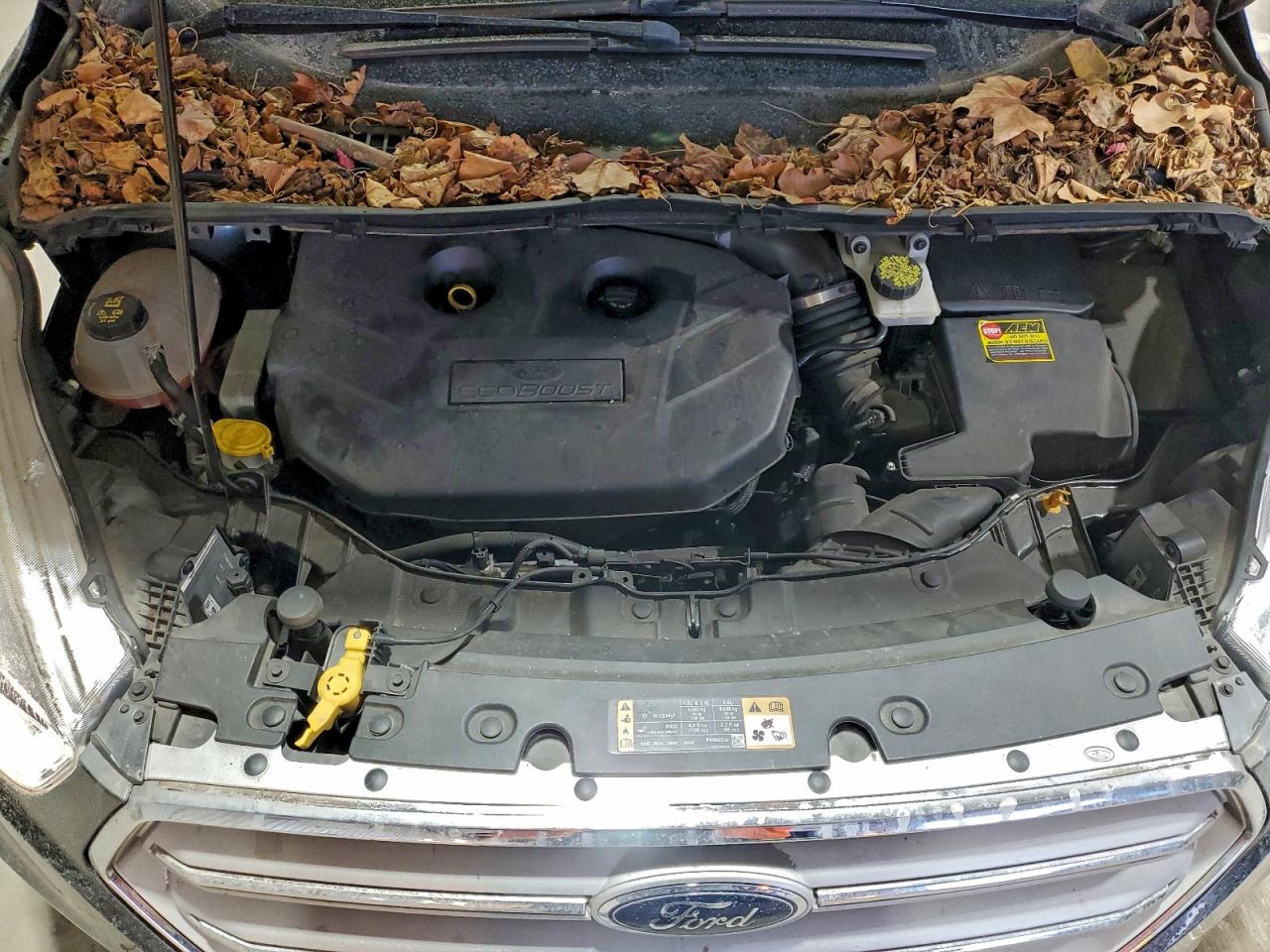 2018 FORD ESCAPE TITANIUM photo 23