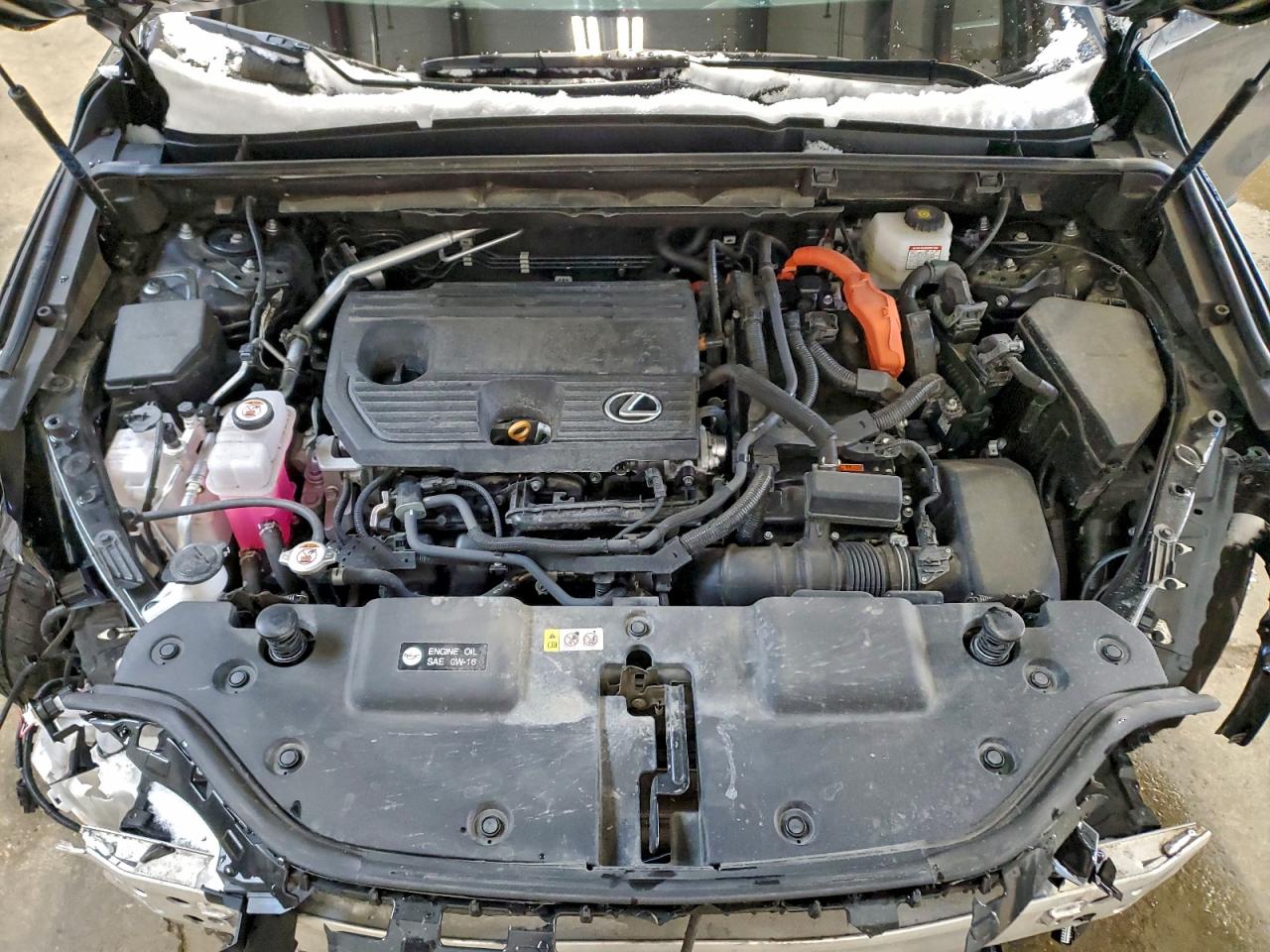 2025 LEXUS NX 350H BASE photo 12