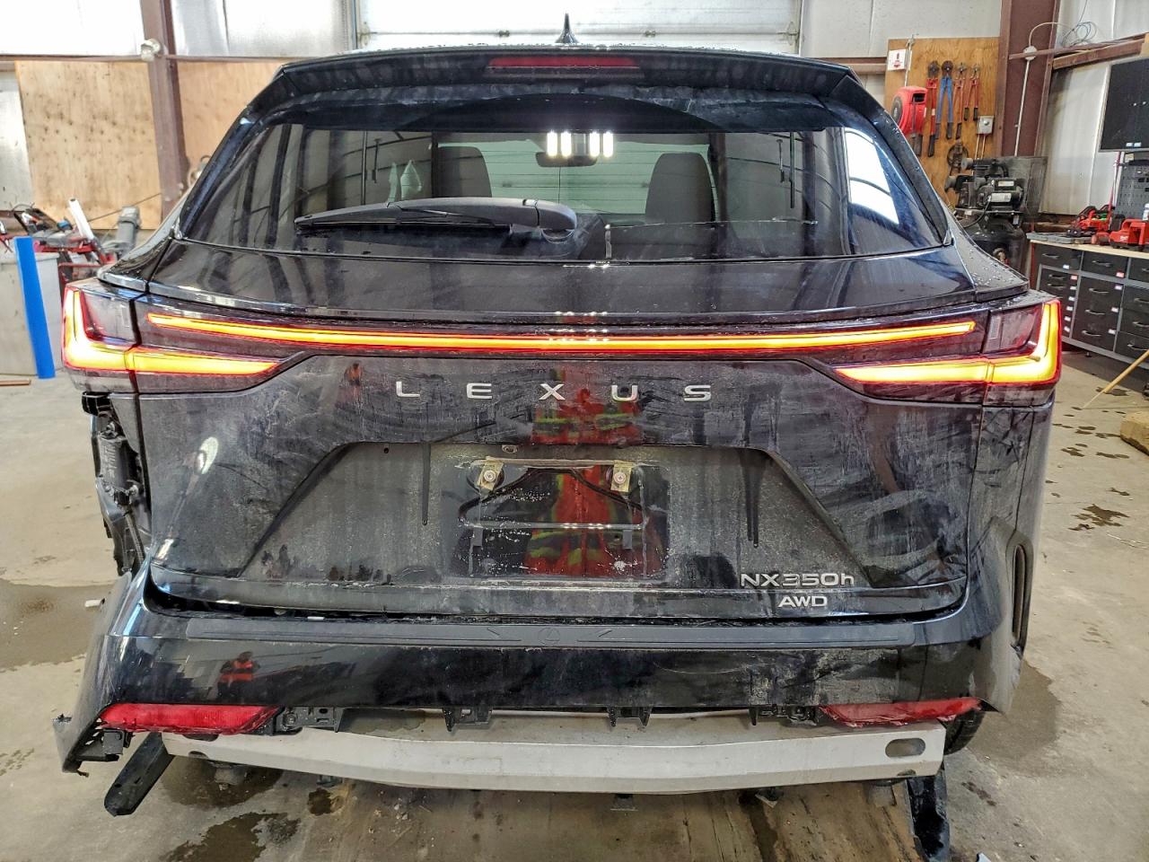 2025 LEXUS NX 350H BASE photo 6