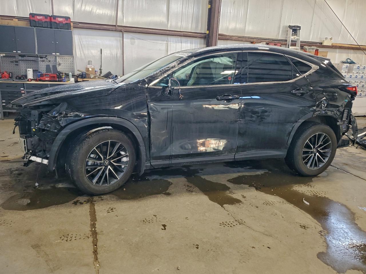 2025 LEXUS NX