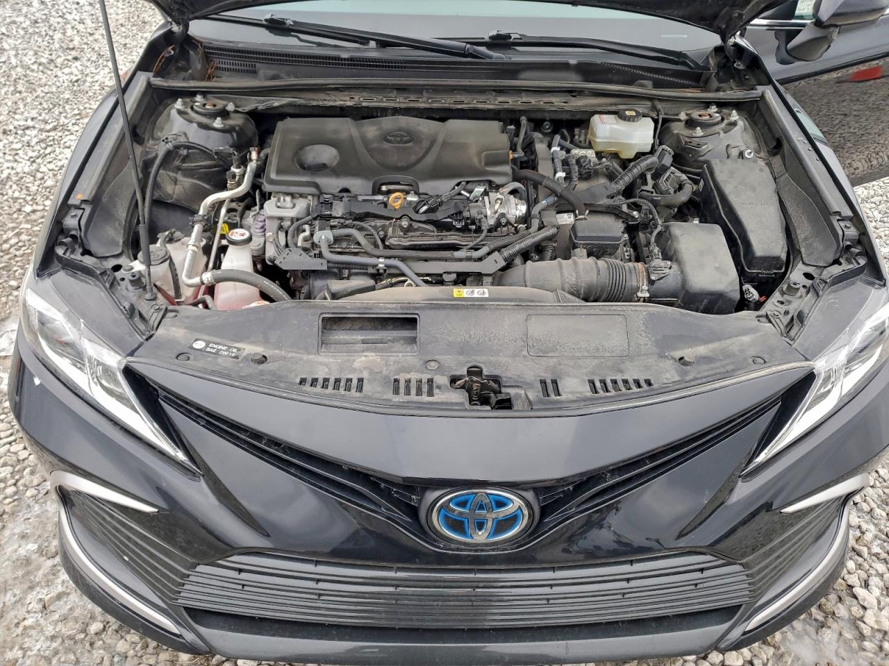 2023 TOYOTA CAMRY LE photo 11