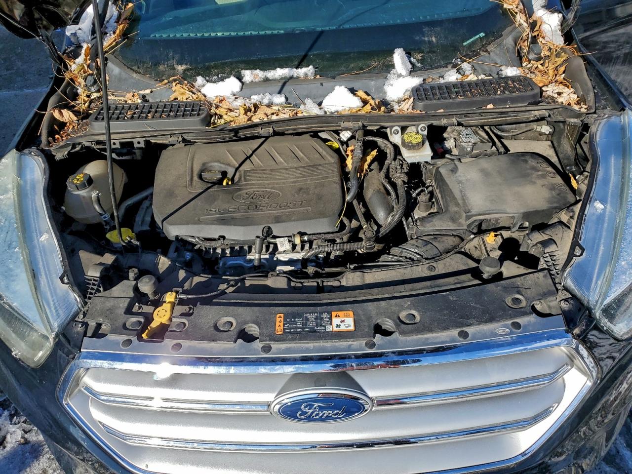 2017 FORD ESCAPE SE photo 12