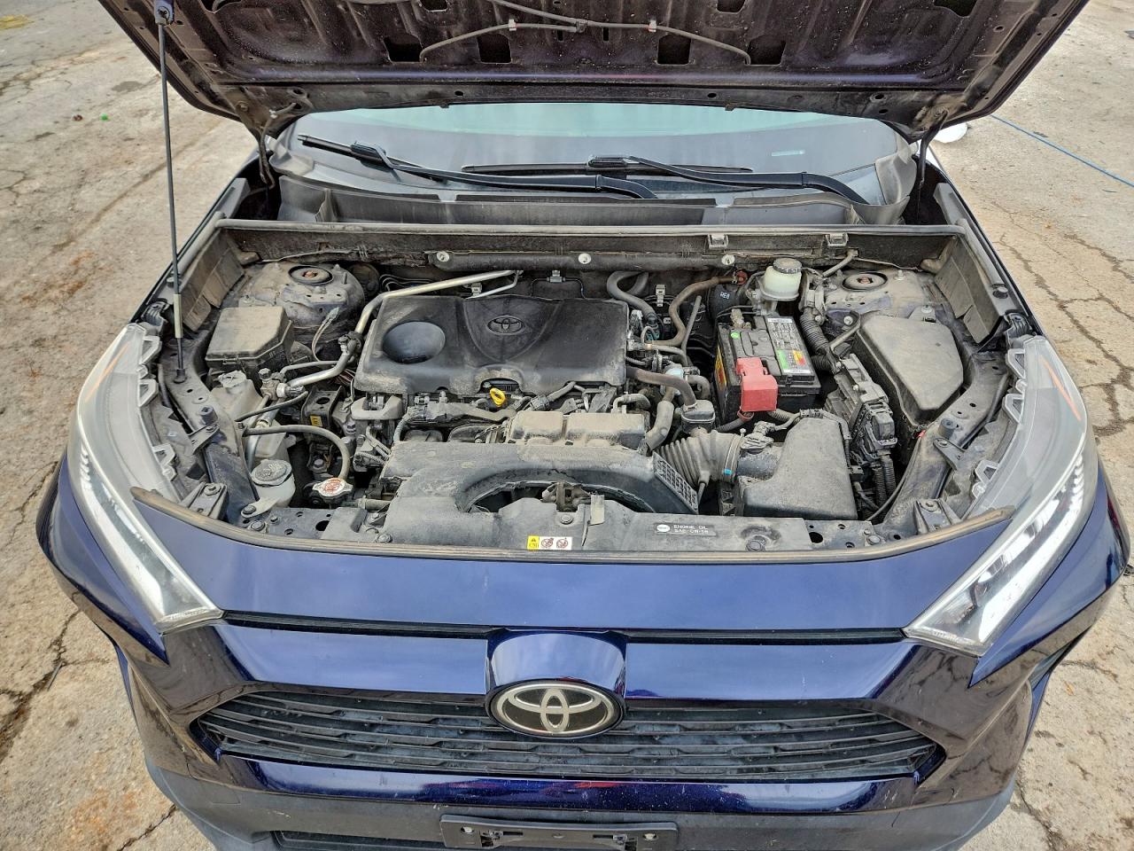 2019 TOYOTA RAV4 XLE photo 12
