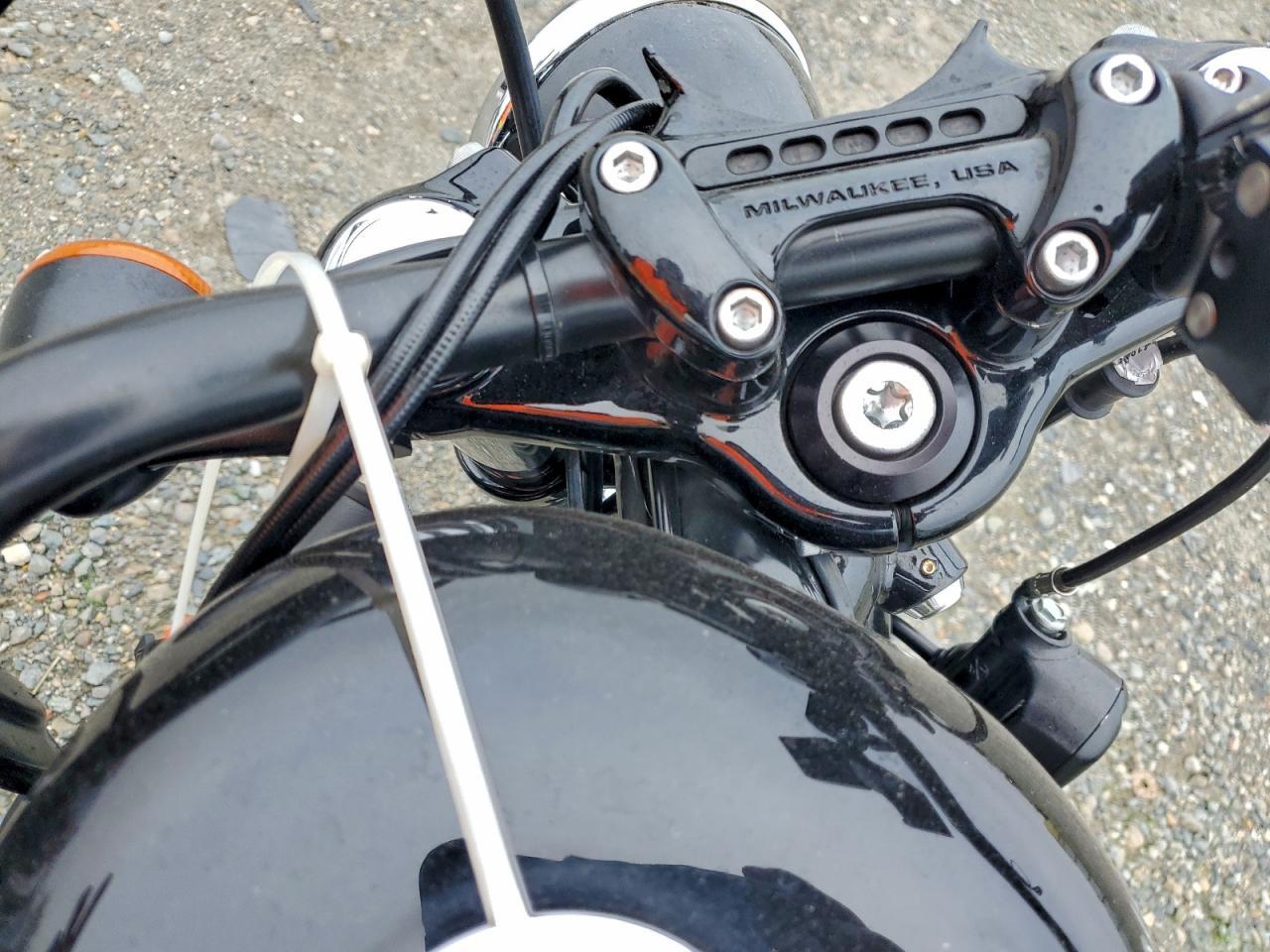 2019 HARLEY-DAVIDSON XL1200 X photo 19