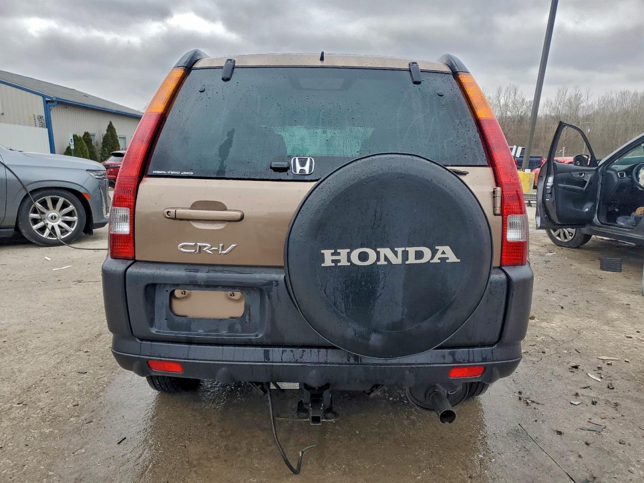 2003 HONDA CR-V EX photo 6