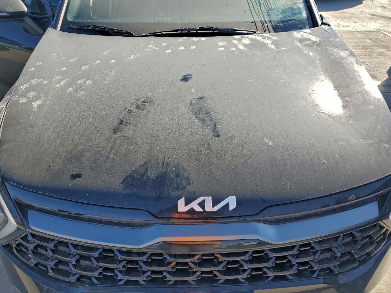 2023 KIA SPORTAGE X-LINE photo 12