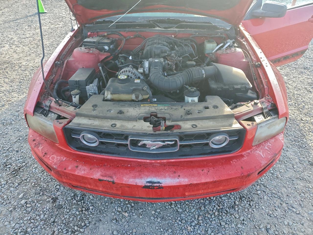 2006 FORD MUSTANG photo 11