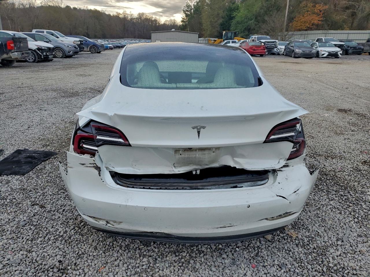 2020 TESLA MODEL 3 photo 11