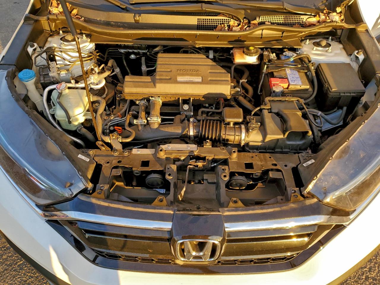 2020 HONDA CR-V LX photo 12