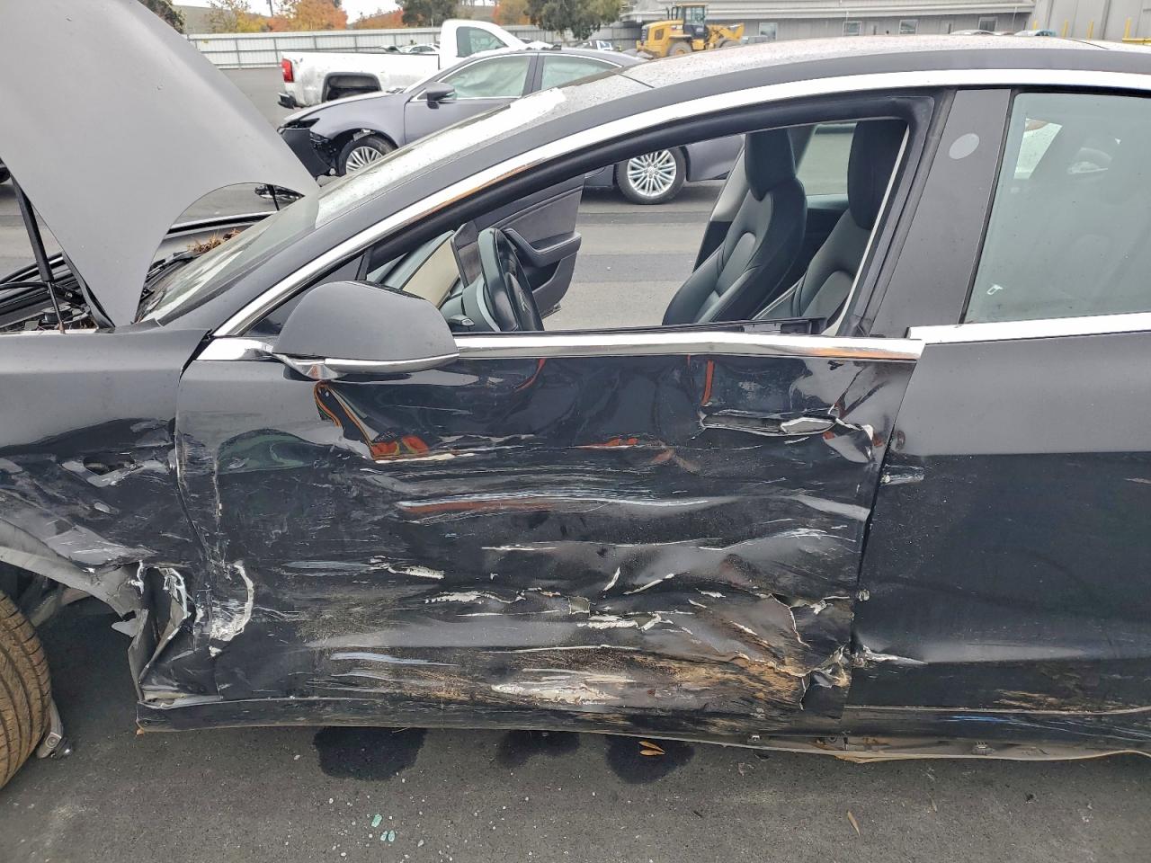 2019 TESLA MODEL 3 photo 19