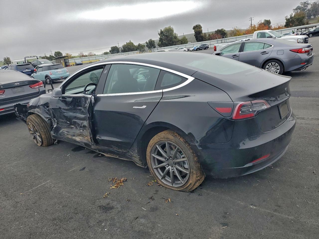 2019 TESLA MODEL 3 photo 4