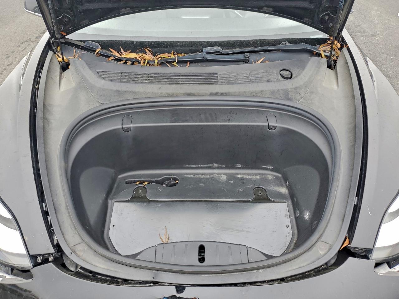 2019 TESLA MODEL 3 photo 31