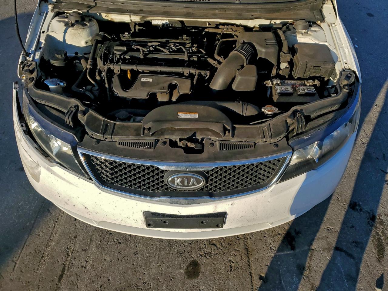 2010 KIA FORTE EX photo 11