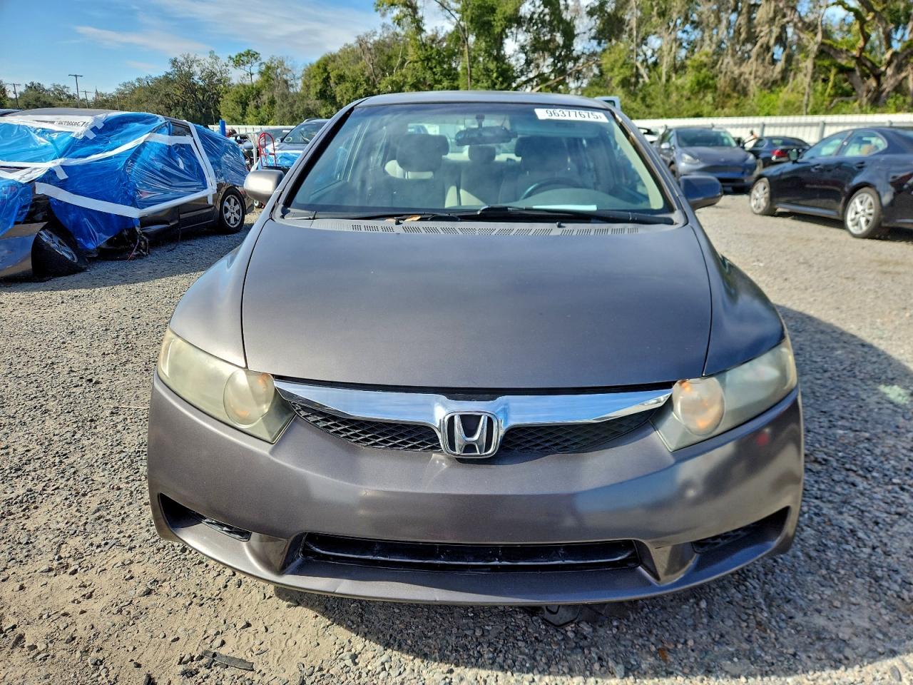 2010 HONDA CIVIC LX photo 5