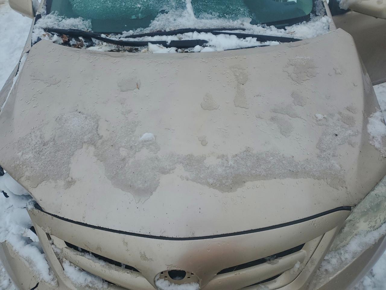 2011 TOYOTA COROLLA BASE photo 11