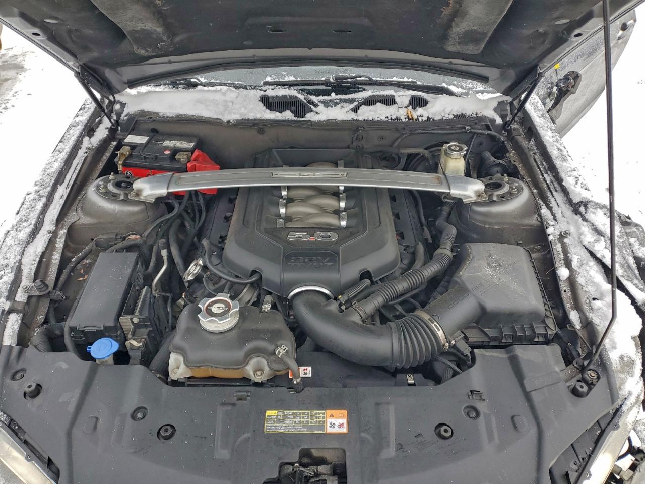 2014 FORD MUSTANG GT photo 11