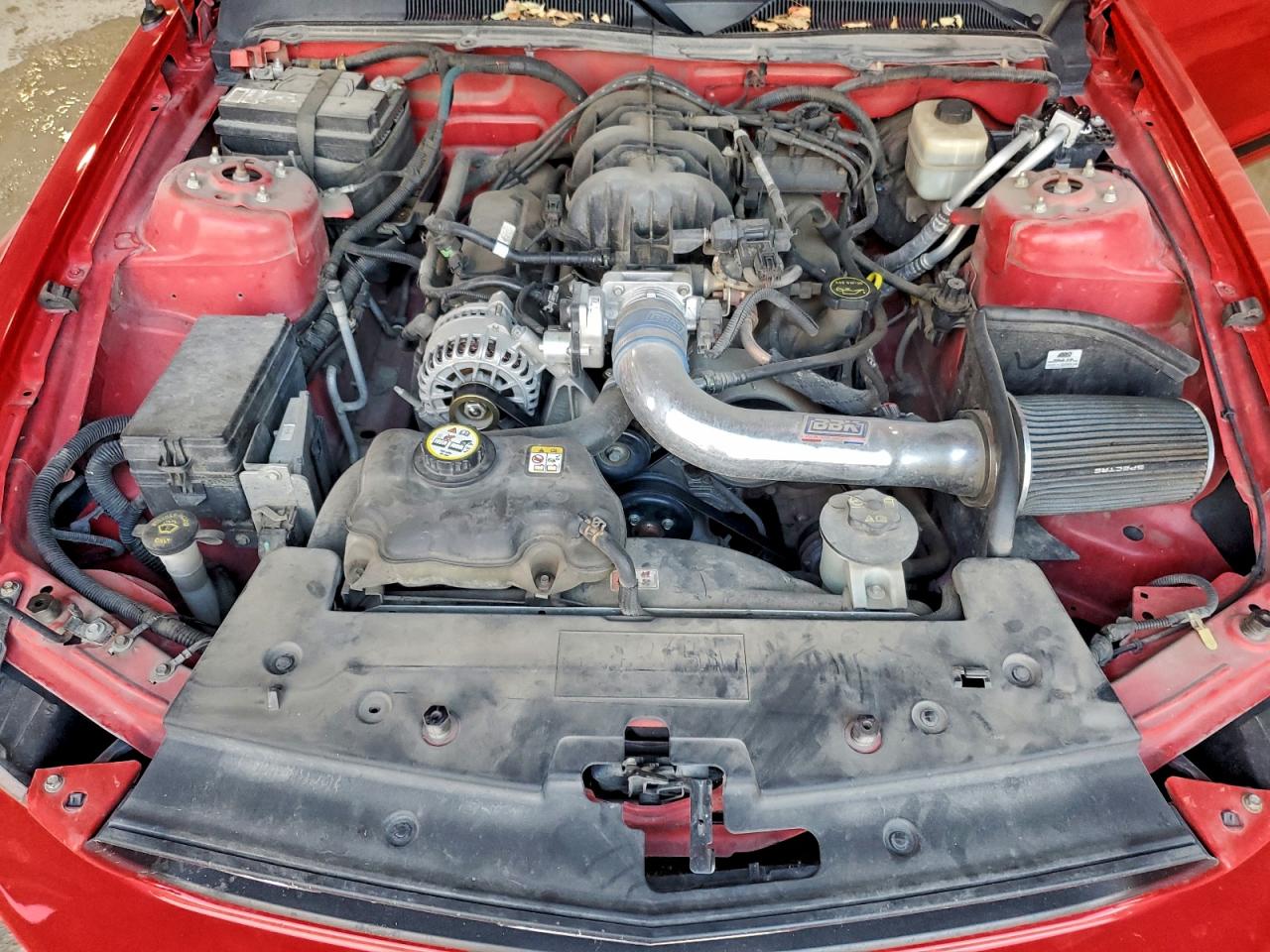 2008 FORD MUSTANG photo 11