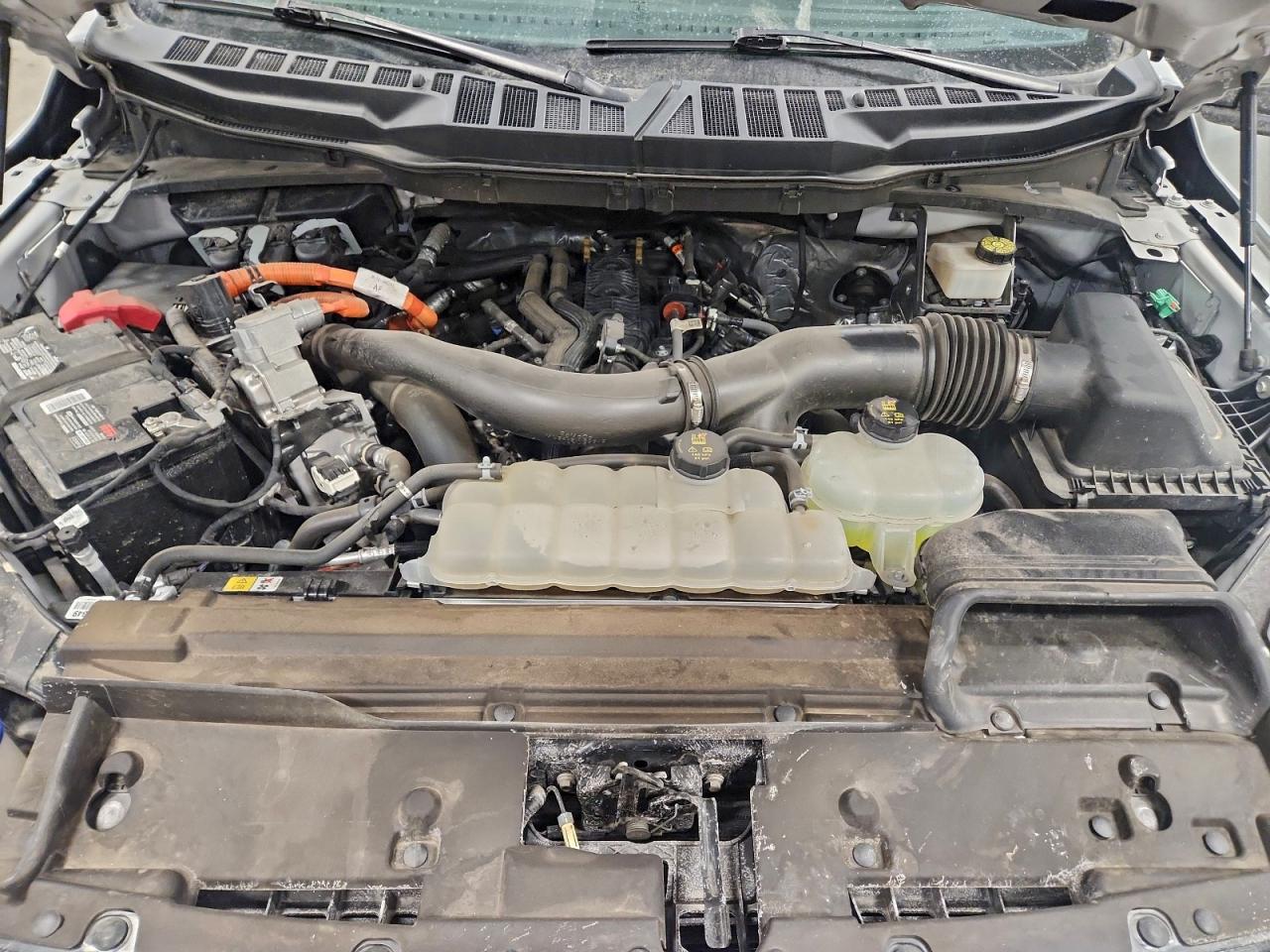 2024 FORD F150 XLT photo 11