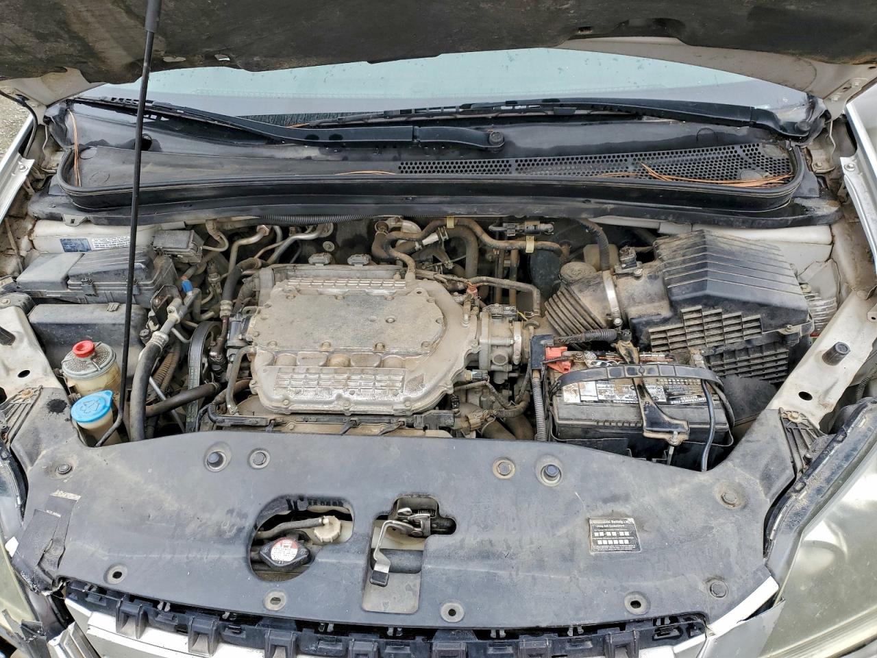 2007 HONDA ODYSSEY EXL photo 12