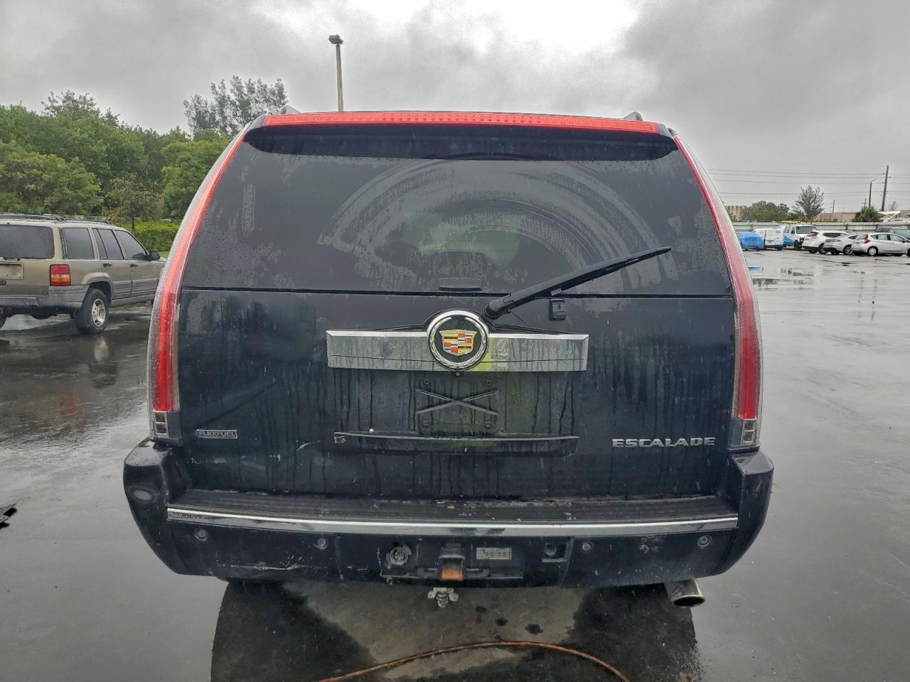 2010 CADILLAC ESCALADE LUXURY photo 6