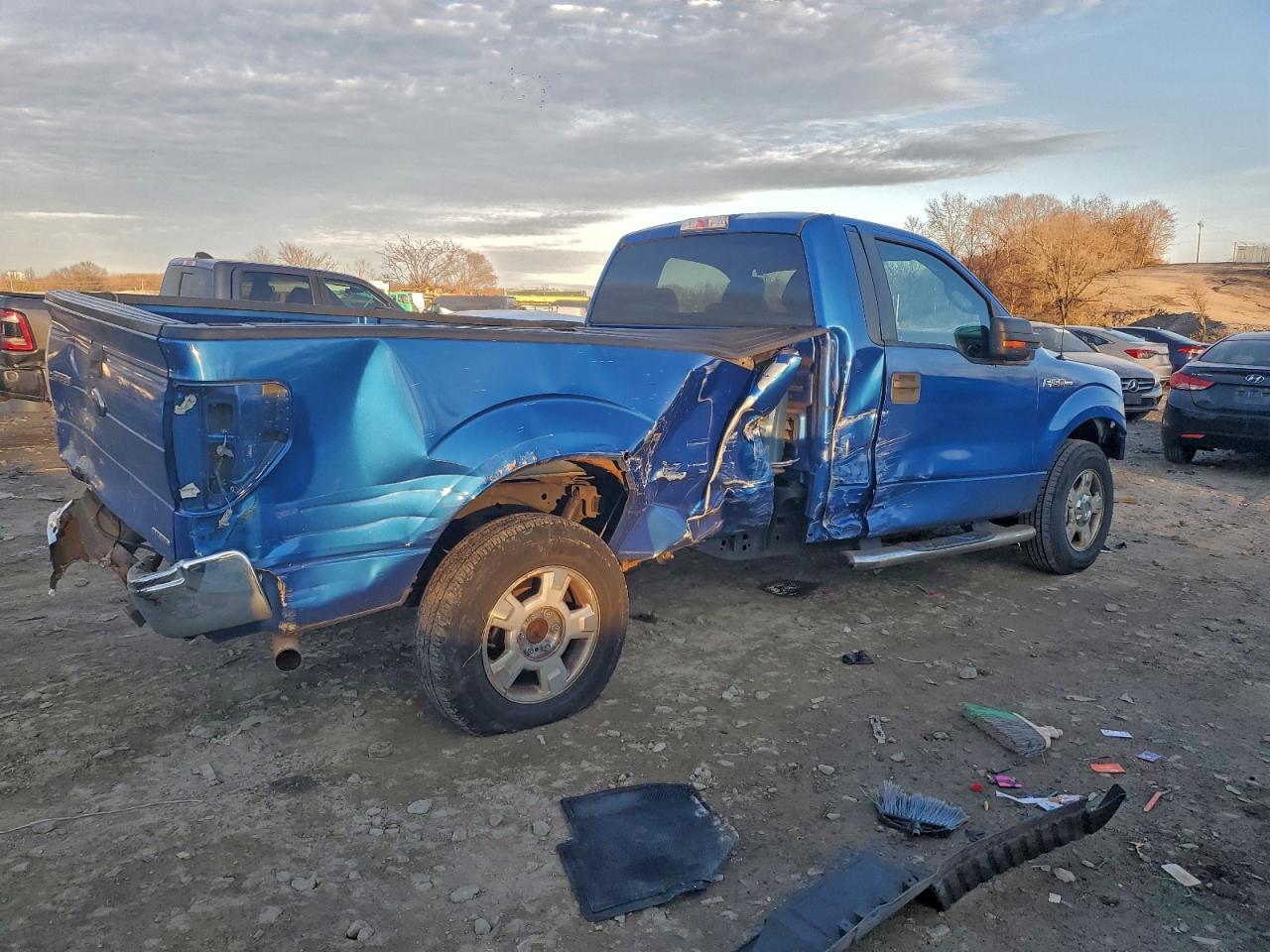 2013 FORD F150 photo 3