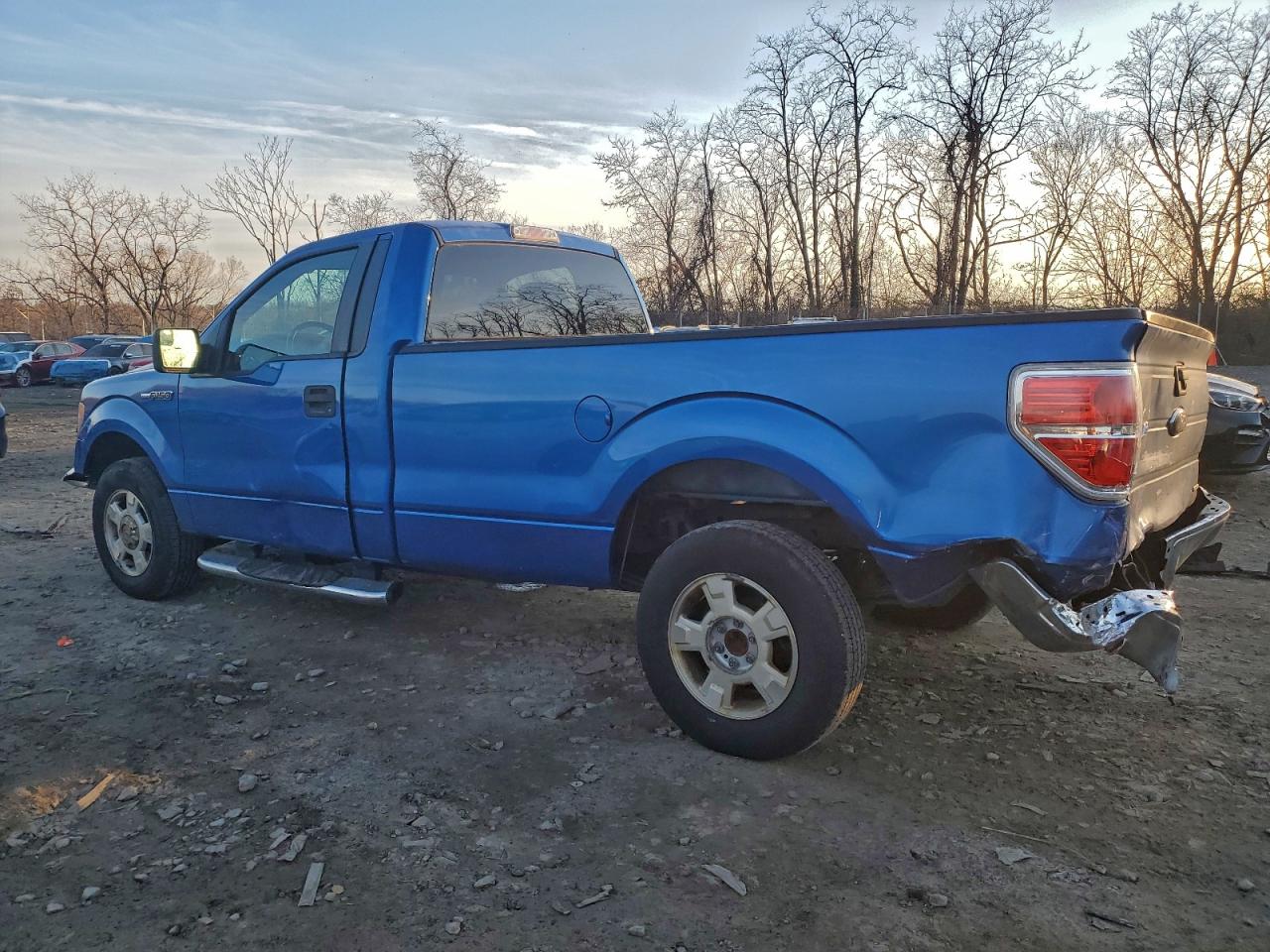 2013 FORD F150 photo 2