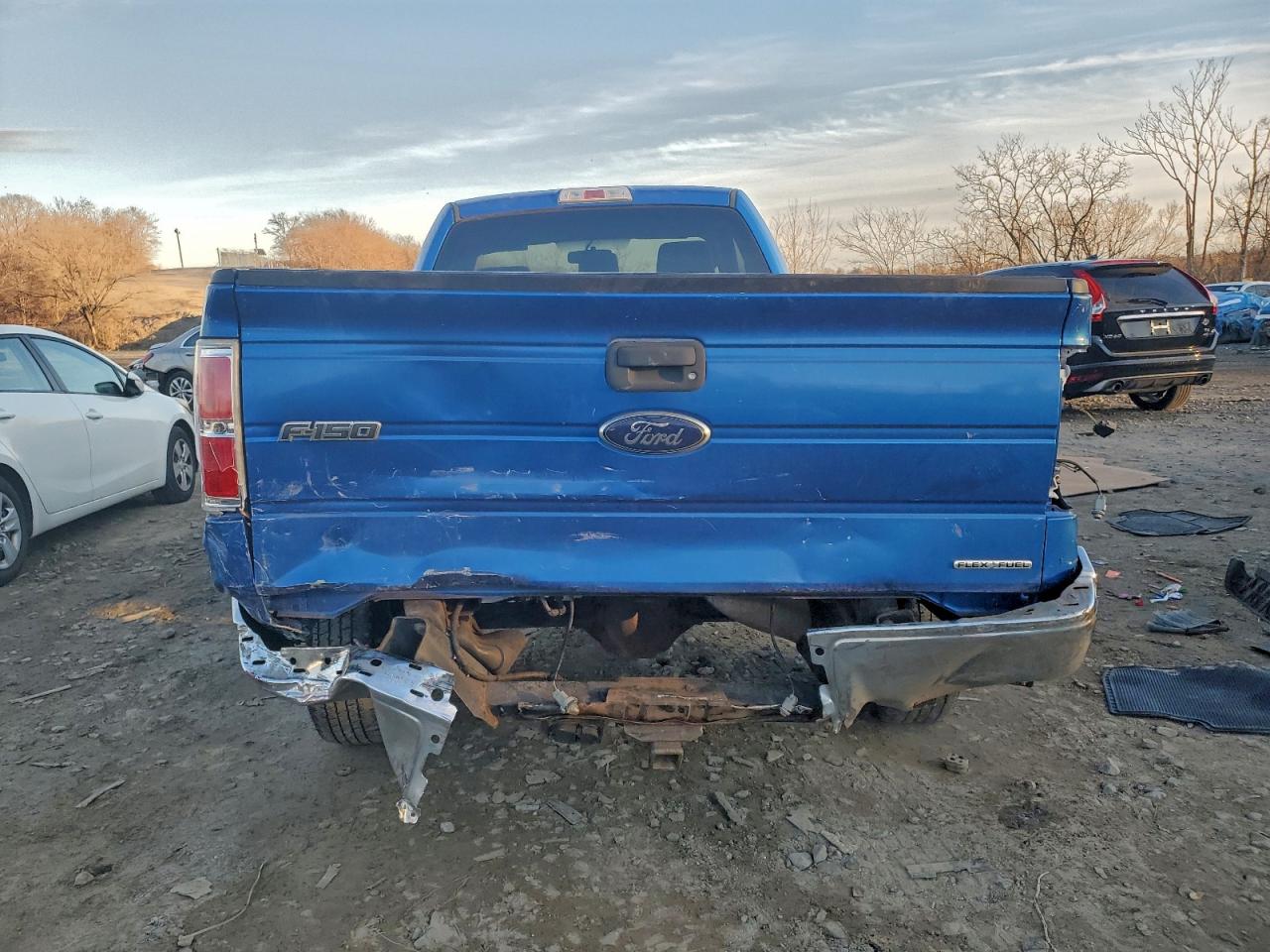 2013 FORD F150 photo 6