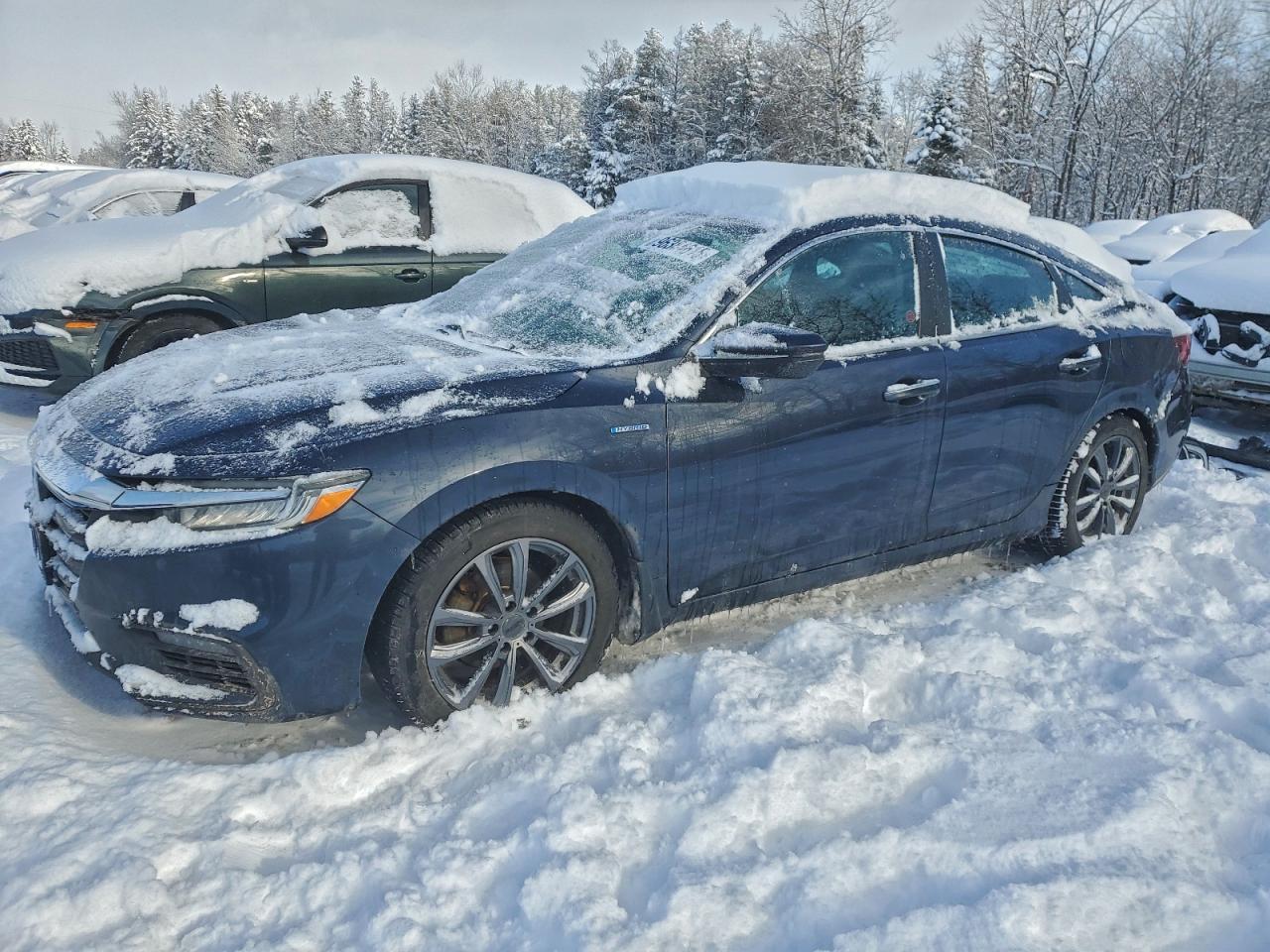 2019 HONDA INSIGHT