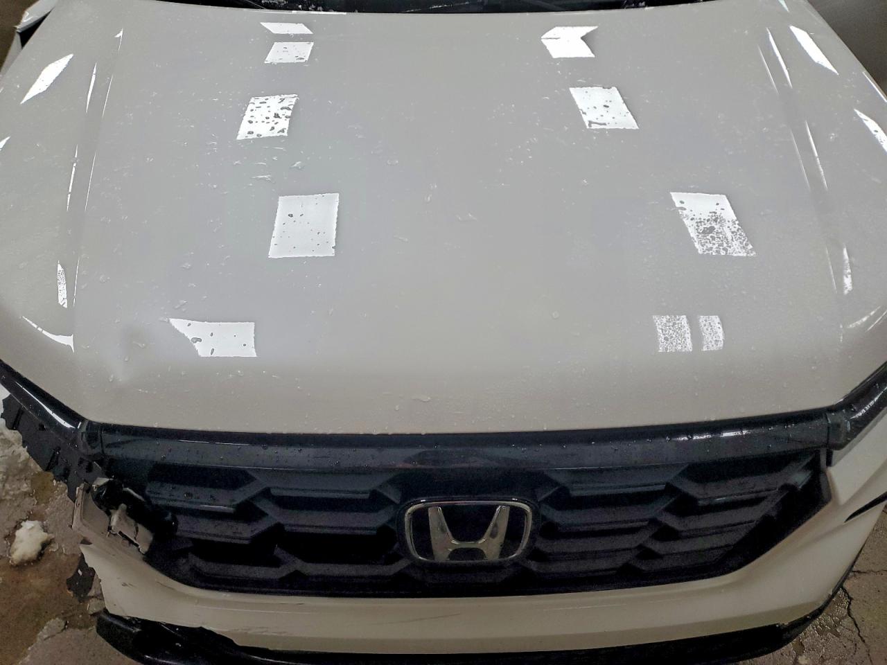 2025 HONDA PILOT SPORT photo 12