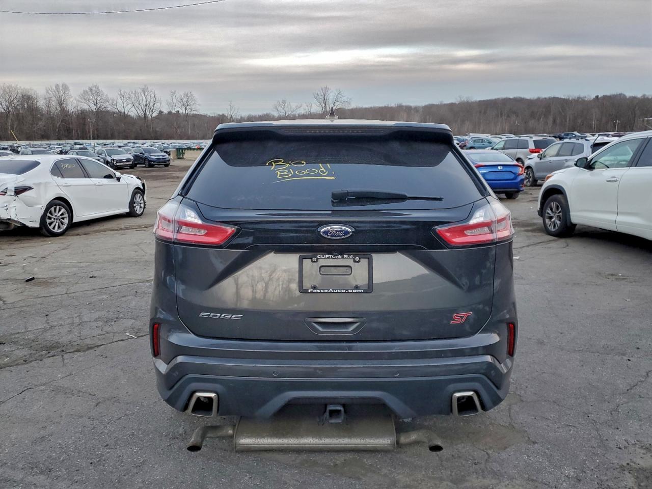 2019 FORD EDGE ST photo 6