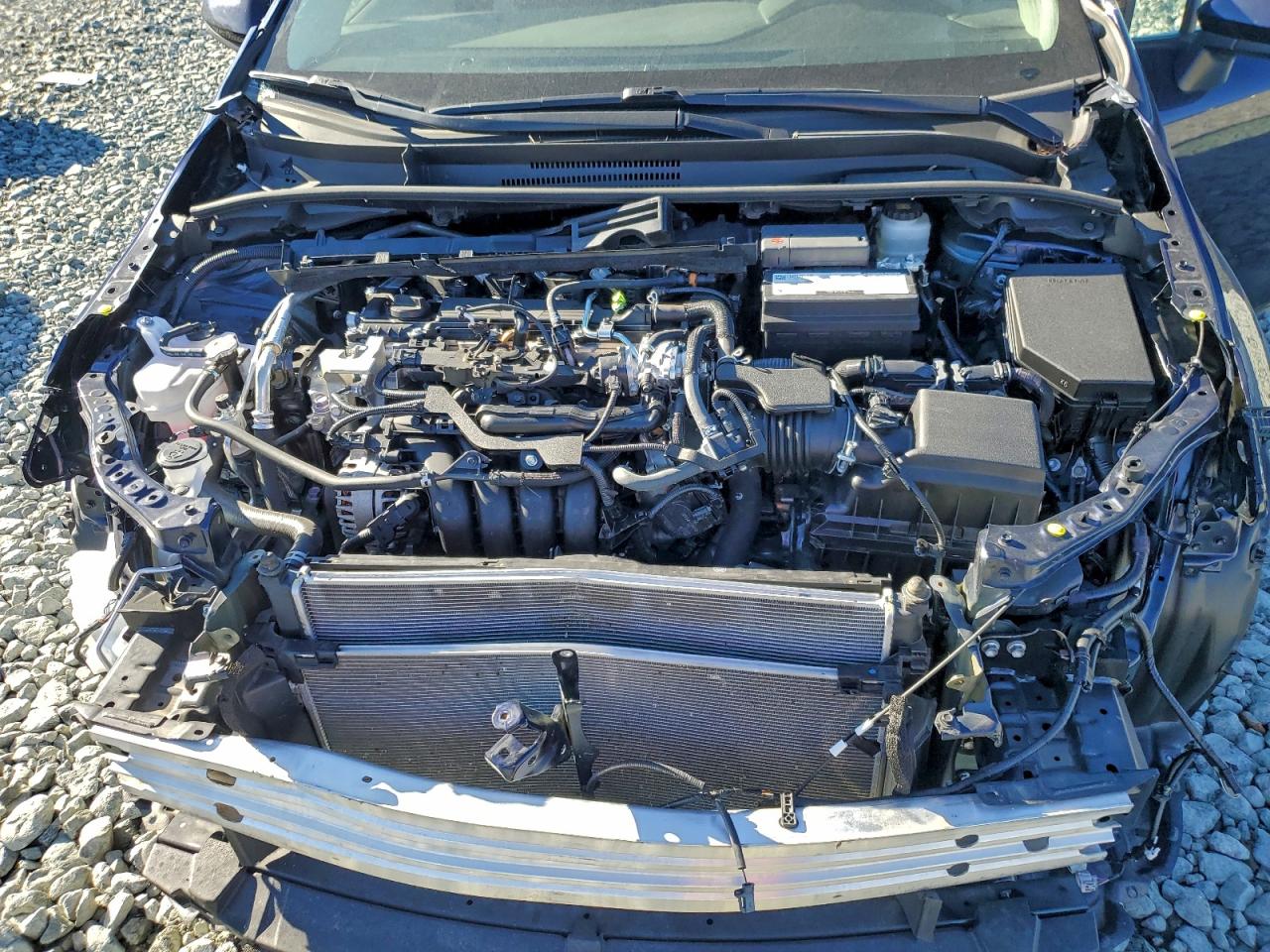 2023 TOYOTA COROLLA LE photo 11