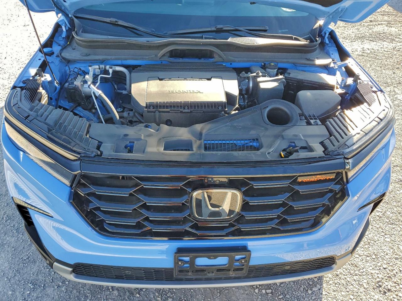 2025 HONDA PILOT TRAILSPORT photo 12