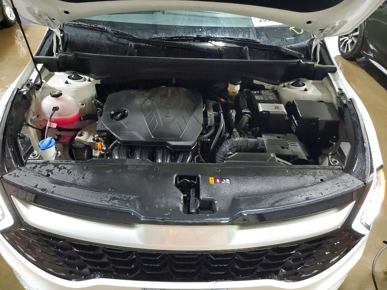 2025 KIA SPORTAGE EX photo 11