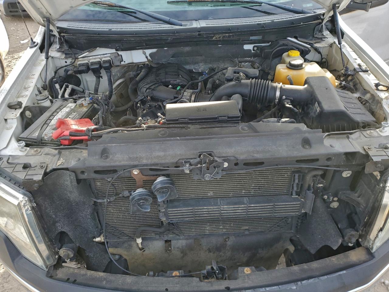 2014 FORD F150 photo 11