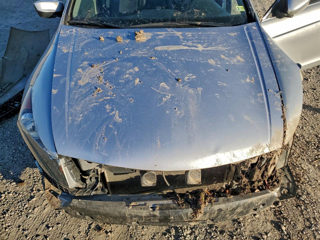 2008 HONDA ACCORD EXL photo 11
