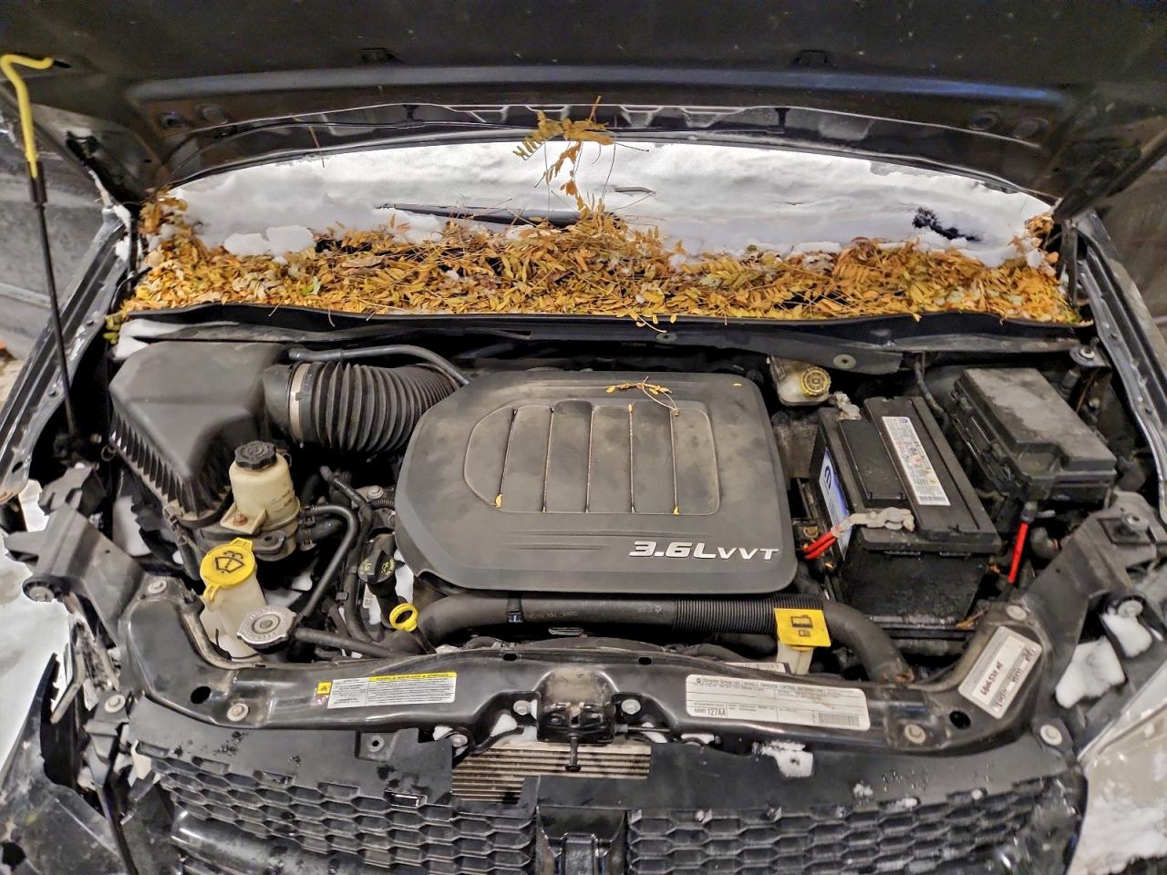 2011 DODGE GRAND CARAVAN R/T photo 12