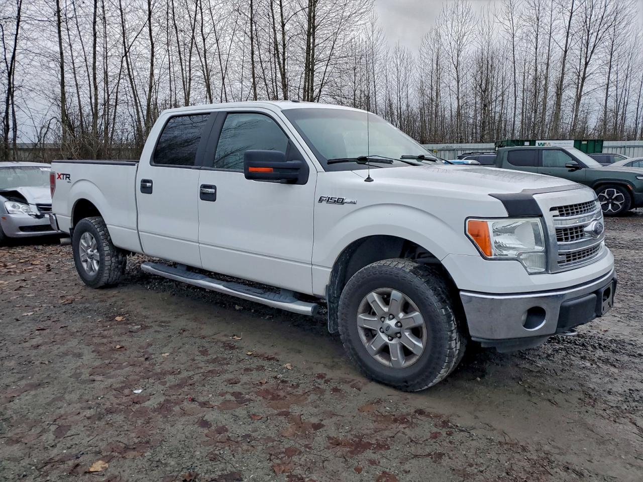 2014 FORD F150 SUPERCREW photo 4