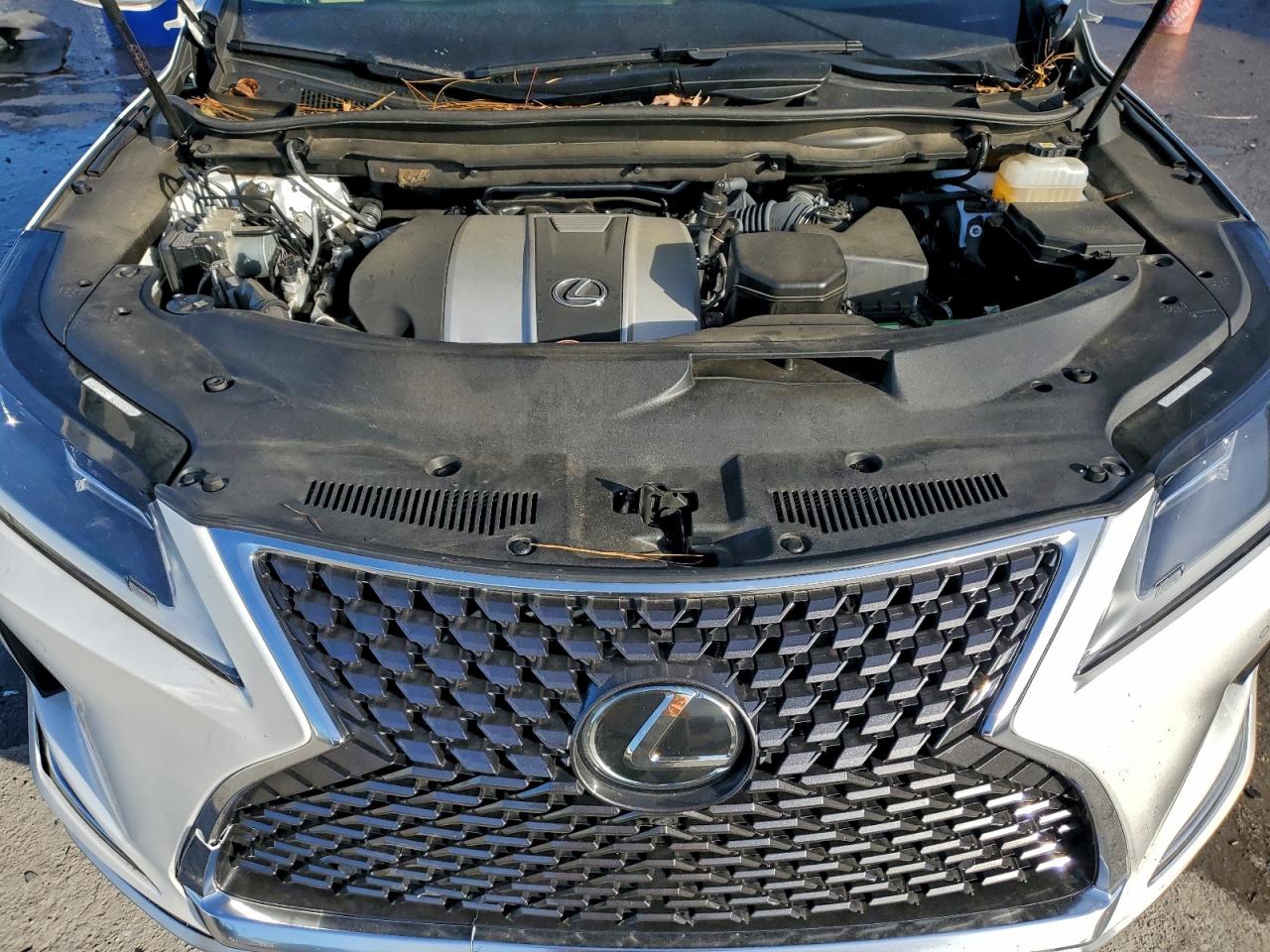 2022 LEXUS RX 350 L photo 12
