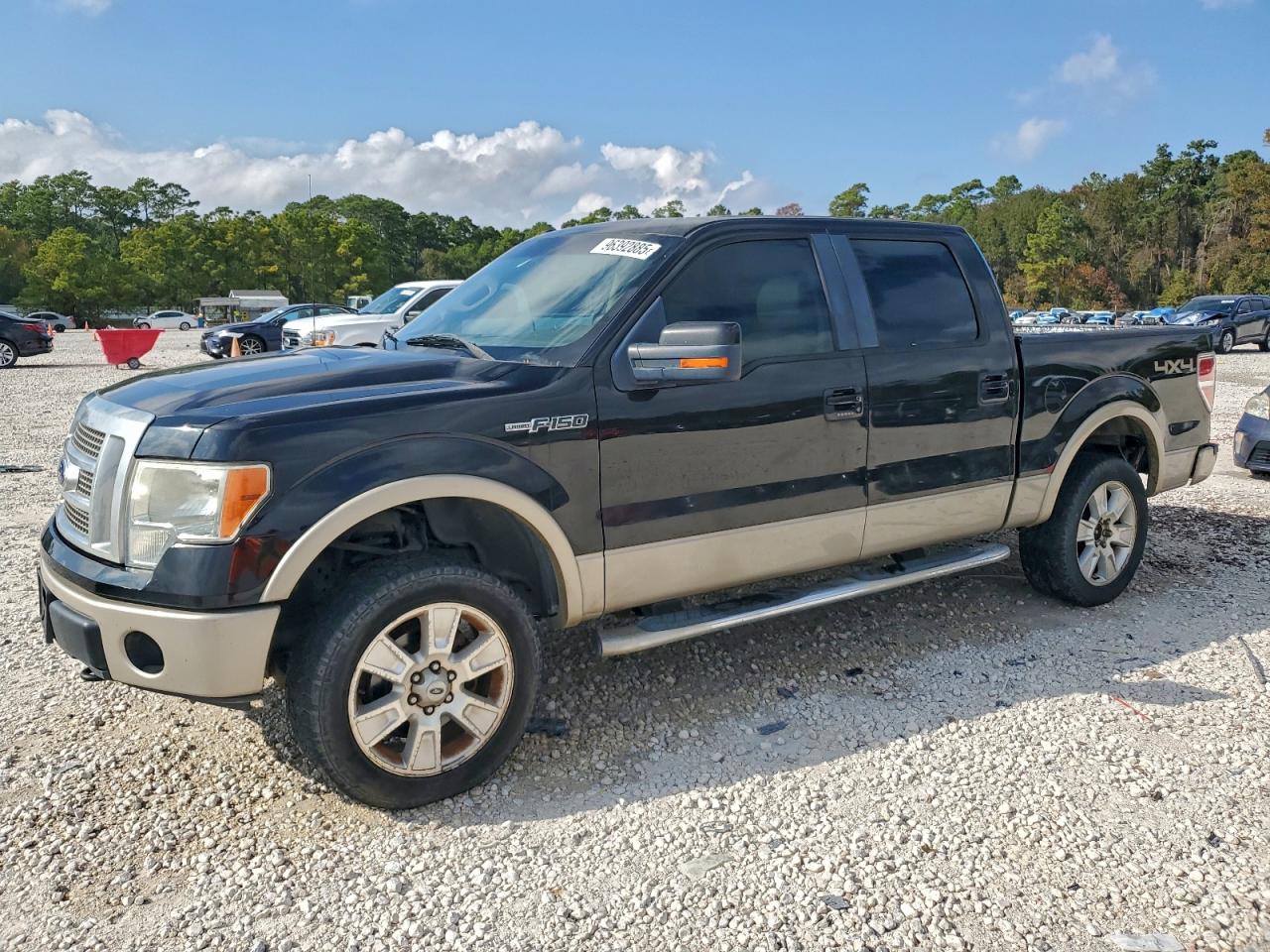 2010 FORD F150
